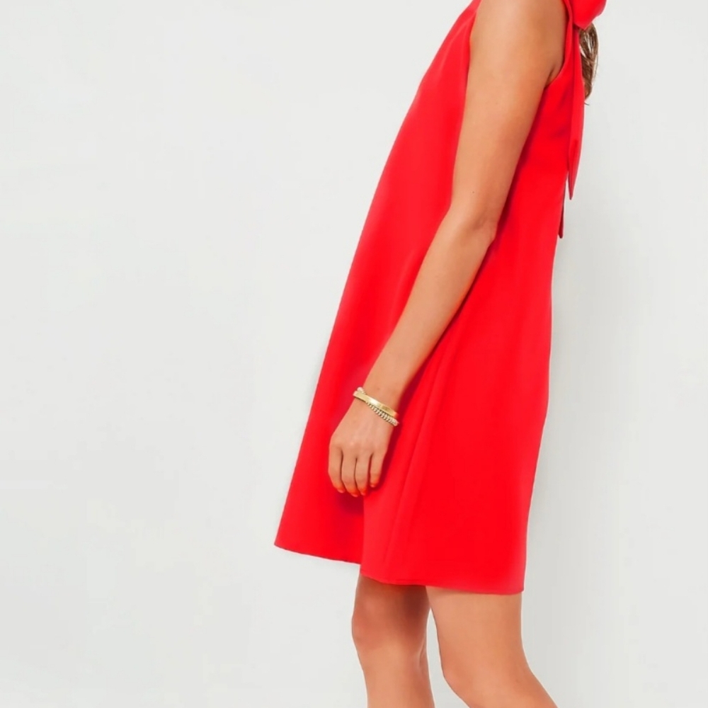 Tuckernuck xxxl mini party dress in red - Picture 4 of 12